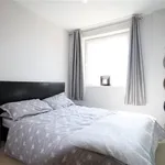 Rent 1 bedroom apartment in Cardiff