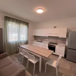 Rent 1 bedroom apartment in legnaro