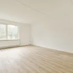 Huur 4 slaapkamer appartement van 84 m² in Ermelo