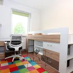 Rent 3 bedroom apartment of 57 m² in Gorzów Wielkopolski