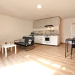 Rent 2 bedroom apartment of 35 m² in Saint-Sardos