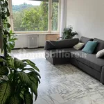 Rent 3 bedroom apartment of 80 m² in Turin