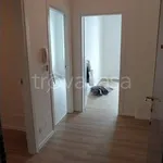 Rent 3 bedroom apartment of 85 m² in Lodi