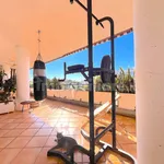 Rent 3 bedroom apartment of 100 m² in Rome