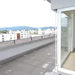 Exklusiv wohnen mit riesiger Dachterrasse