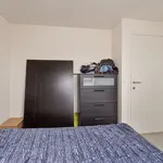 Rent 2 bedroom apartment in Eeklo