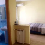 Rent 1 bedroom apartment of 42 m² in Rome