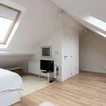 Kamer van 500 m² in brussels