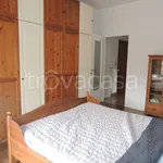 Rent 2 bedroom apartment of 50 m² in Torino