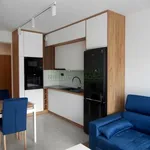 Rent 2 bedroom apartment of 42 m² in Nowy Sącz