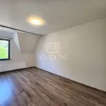 Rent 4 bedroom apartment of 122 m² in Budapest