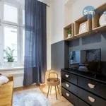 Rent 1 bedroom apartment of 24 m² in Brno