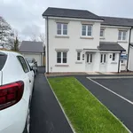 Rent 3 bedroom flat in Wales