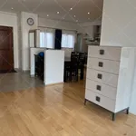 Rent 2 bedroom apartment of 164 m² in Budapest