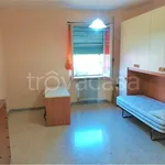 Rent 3 bedroom apartment of 110 m² in Frosinone