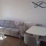 Najam 2 spavaće sobe stan od 55 m² u Grad Rijeka