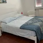 Rent 4 bedroom apartment of 75 m² in Viareggio