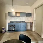 Rent 2 bedroom apartment of 40 m² in Milano