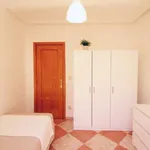 Rent a room in madrid