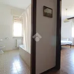 Rent 4 bedroom apartment of 80 m² in Pescara