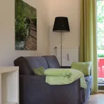 Rent 3 bedroom apartment of 45 m² in Münster