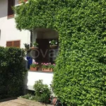 Villa Bifamiliare in in affitto da privato a Pietrasanta via Piave, 19, giardino, da privato, doppia esposizione - TrovaCasa