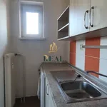 Rent 1 bedroom apartment in Chomutov