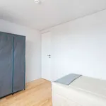 Rent a room in porto