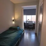 Rent 3 bedroom apartment in Leuven