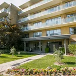 Rent 3 bedroom apartment in toronto