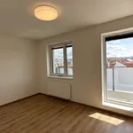 Rent 3 bedroom apartment of 69 m² in České Budějovice