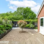 Semi-detached house to rent in Harmonds Wood Close, Broxbourne EN10