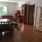 Habitación de 110 m² en España