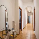 Rent a room of 120 m² in rome