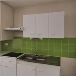 Rent 1 bedroom apartment of 29 m² in Bézouotte