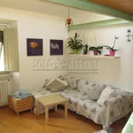 Rent 3 bedroom apartment of 100 m² in livorno