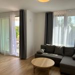 Rent 2 bedroom apartment of 51 m² in München