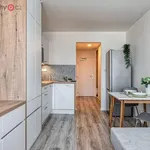 Rent 1 bedroom apartment of 24 m² in Praha