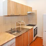 Rent 3 bedroom apartment of 89 m² in Prague