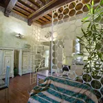 Rent 1 bedroom apartment of 110 m² in Piacenza