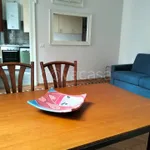 Rent 3 bedroom apartment of 75 m² in Milano