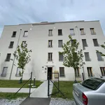 Rent 2 bedroom apartment of 47 m² in Graz