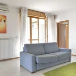 Rent 2 bedroom apartment of 125 m² in bologna