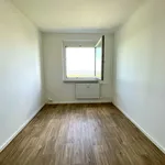 Miete 3 Schlafzimmer wohnung von 91 m² in Chemnitz