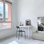 Rent 1 bedroom apartment in Bologna