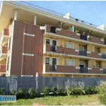 Rent 2 bedroom apartment of 55 m² in Rome