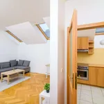 Studio o rozloze 40 m² v prague