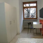 Rent a room in turin