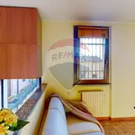 Appartamento in Affitto Cernusco sul Naviglio 31021019-140 | RE/MAX Italia