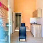 Rent 1 bedroom apartment in Brno